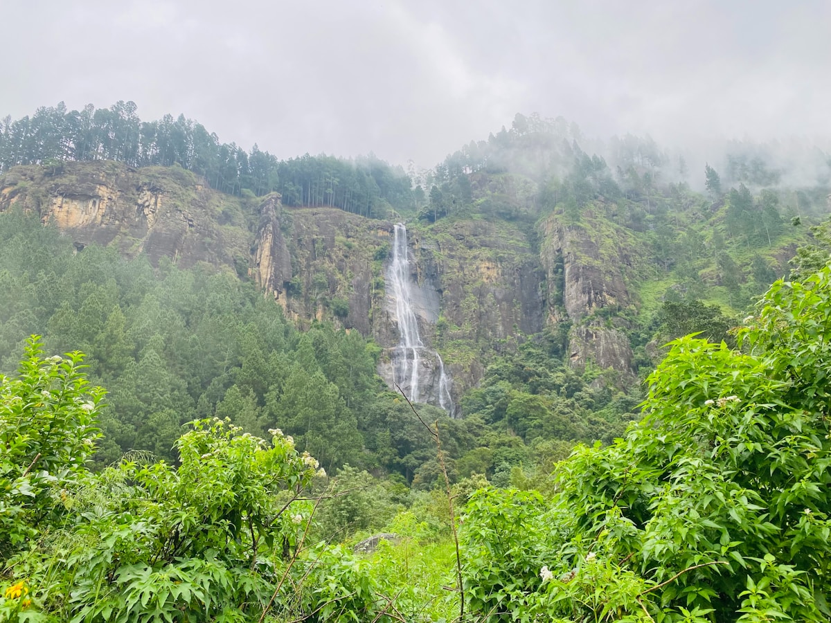 Tall waterfall cascading through mist and green forest, Sri Lanka highlands