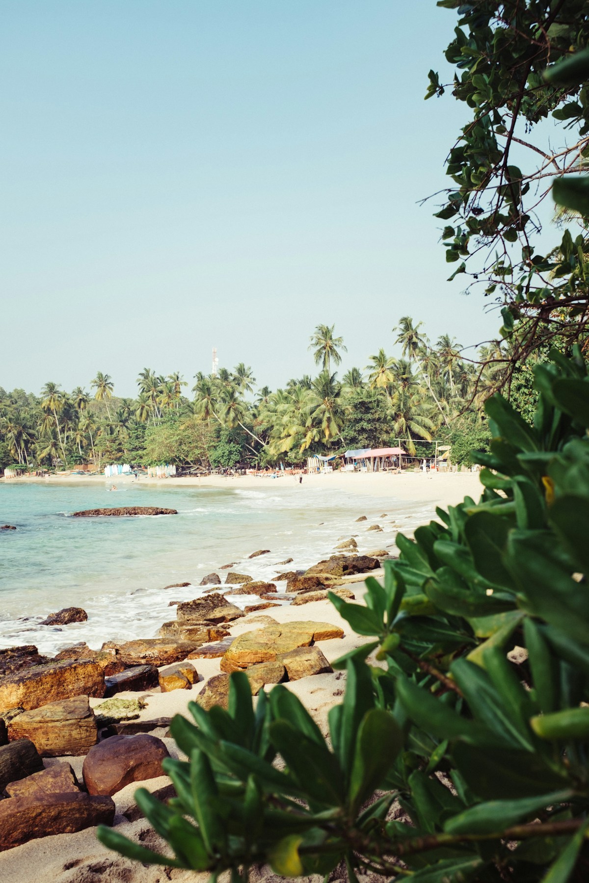 Rocky shoreline with turquoise water and palm trees on the east coast of Sri Lanka near Batticaloa