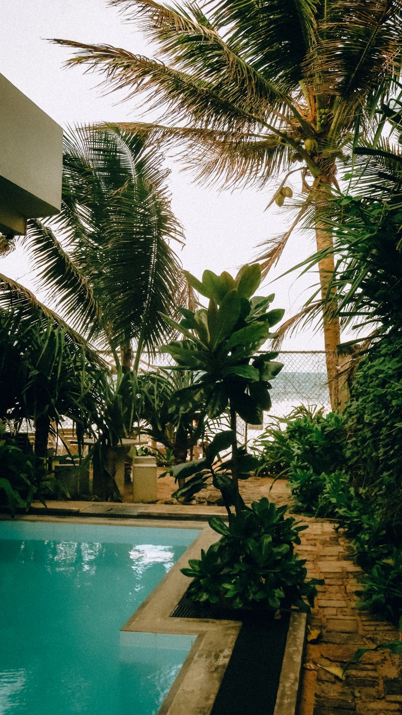 Tropical pool garden with ocean view and palm trees at a Bentota beach resort, Sri Lanka