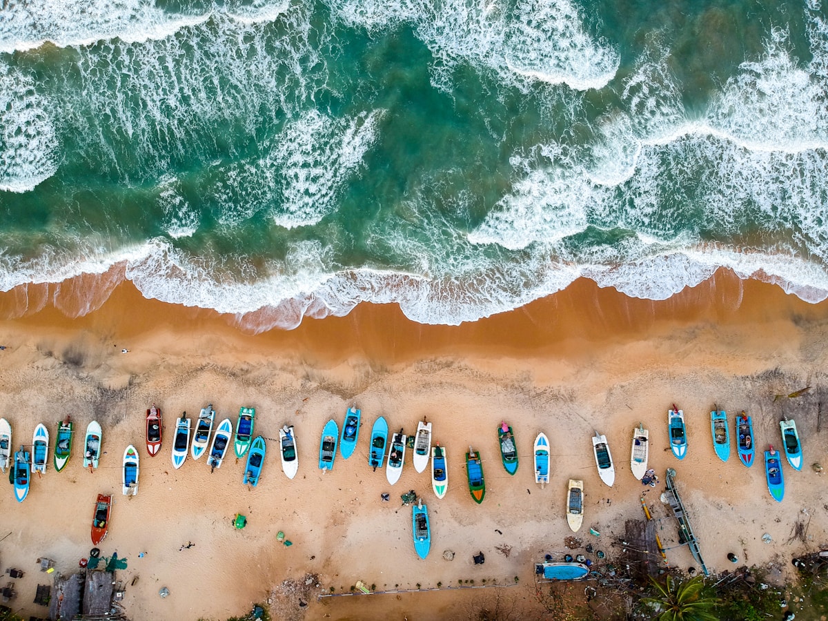 Surfers at Main Point, Arugam Bay, on Sri Lanka's east coast