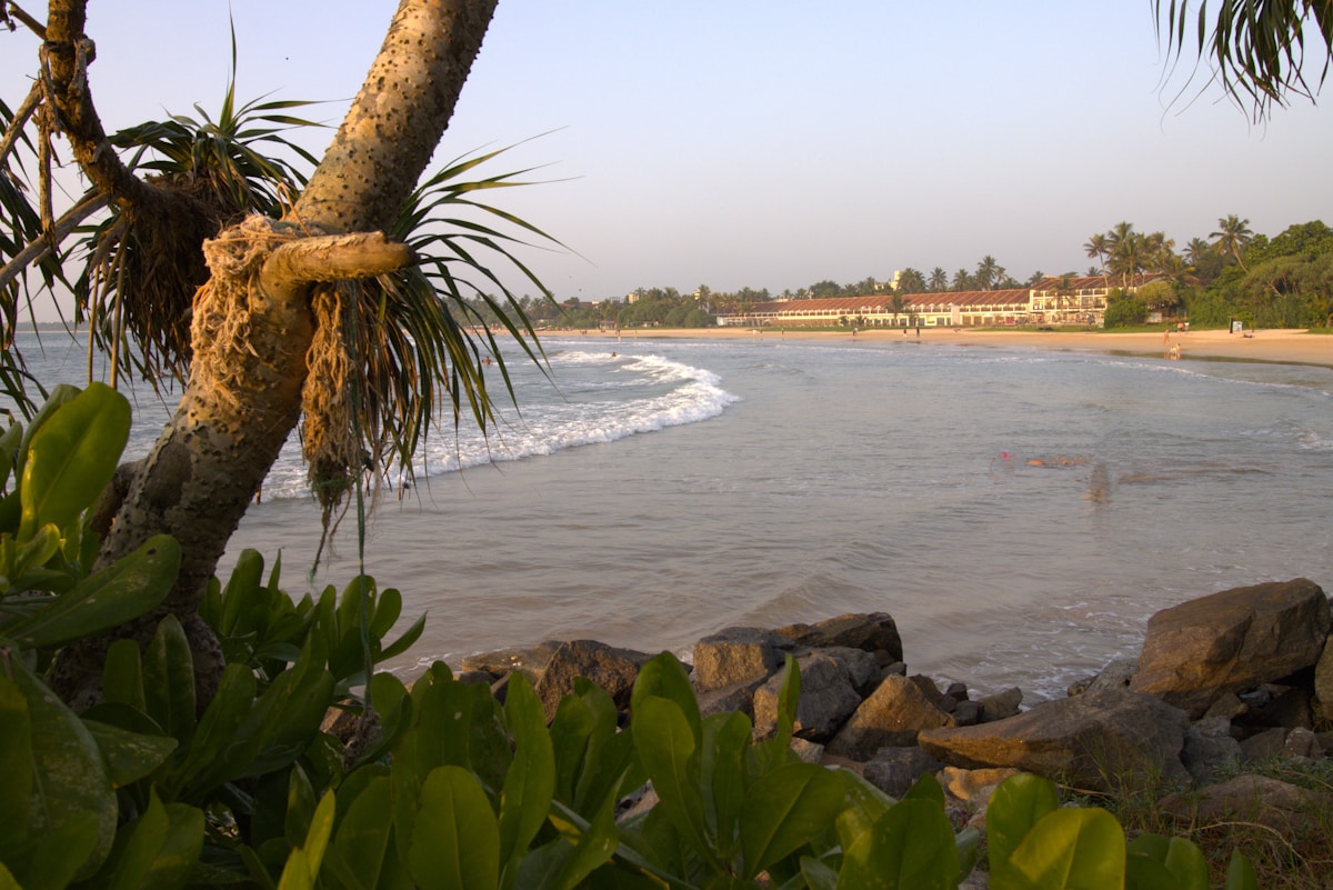 Bentota beach with palm trees and resort hotel, southern Sri Lanka