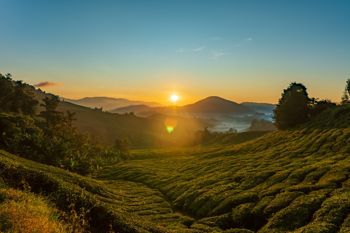 The ridge town of Haputale in Sri Lanka's Badulla District, with views stretching across the dry zone lowlands