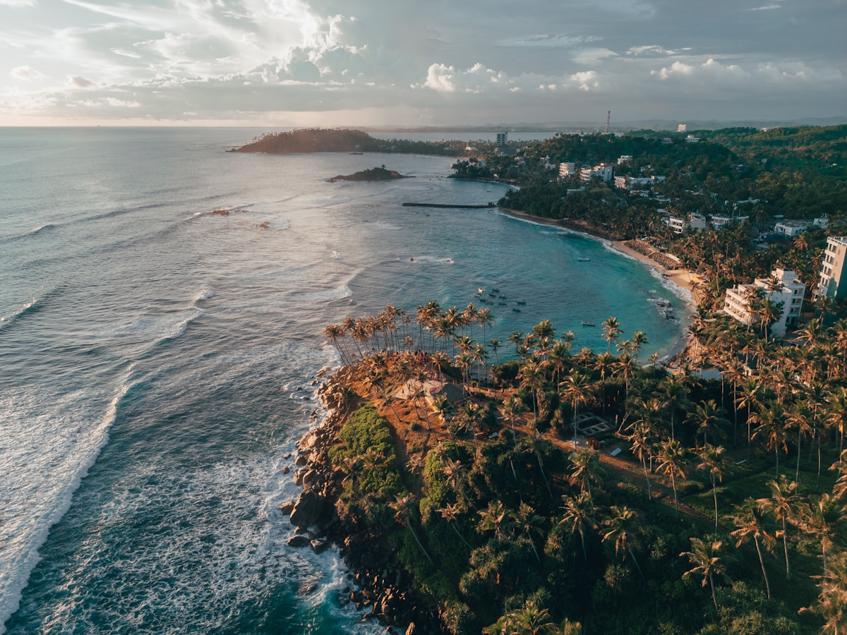 Mirissa Beach on Sri Lanka's south coast — a sheltered arc of sand backed by palm trees