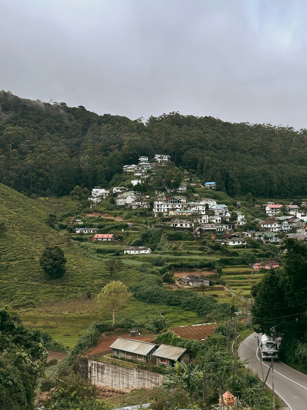 Hillside houses and tea gardens on a misty slope in Nuwara Eliya, Sri Lanka