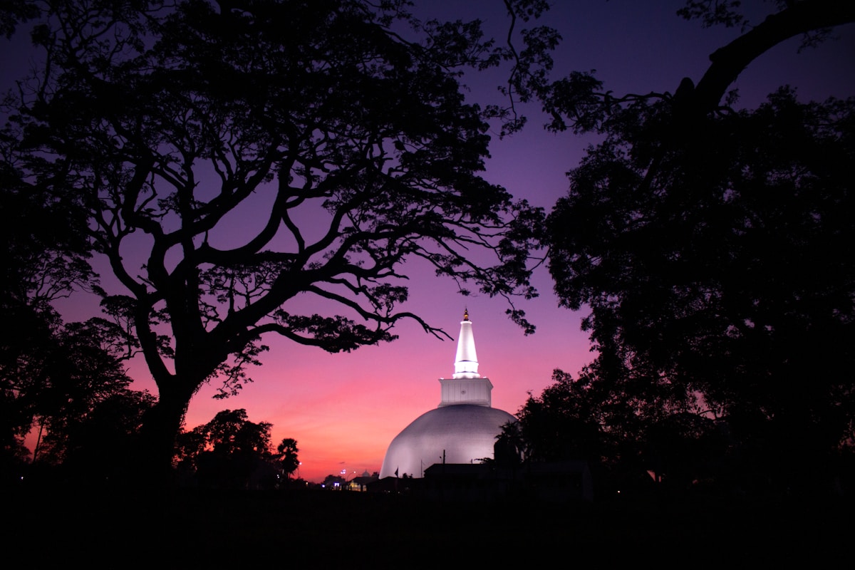 White domed stupa with trees, Anuradhapura, Sri Lanka cultural triangle