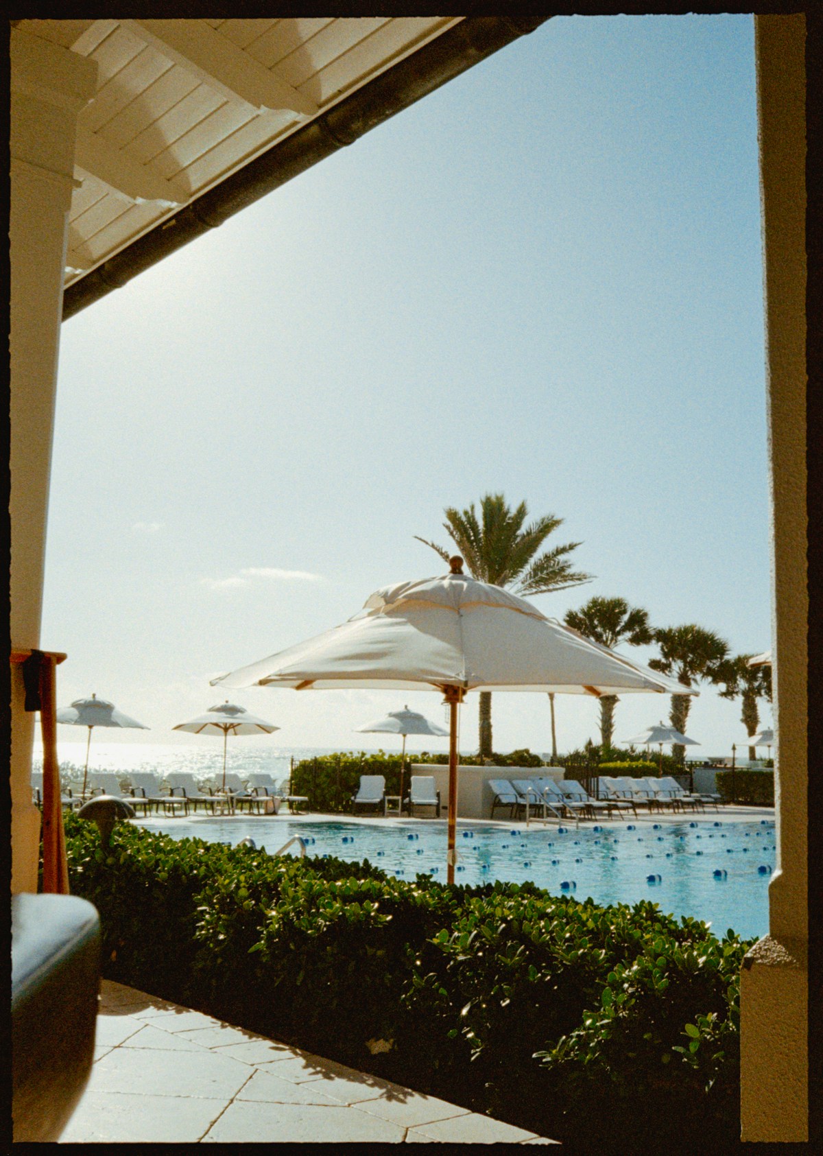 Resort pool with colourful umbrellas and palm trees, Hikkaduwa, Sri Lanka