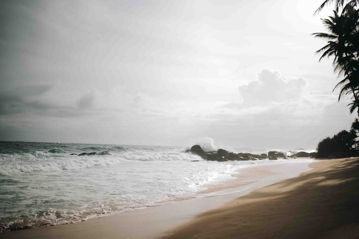 Waves breaking on rocky shore with palm trees, Hikkaduwa, Sri Lanka