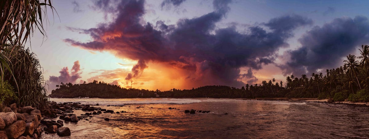 Dramatic sunset over Hiriketiya bay with palm trees and rocky coastline, southern Sri Lanka