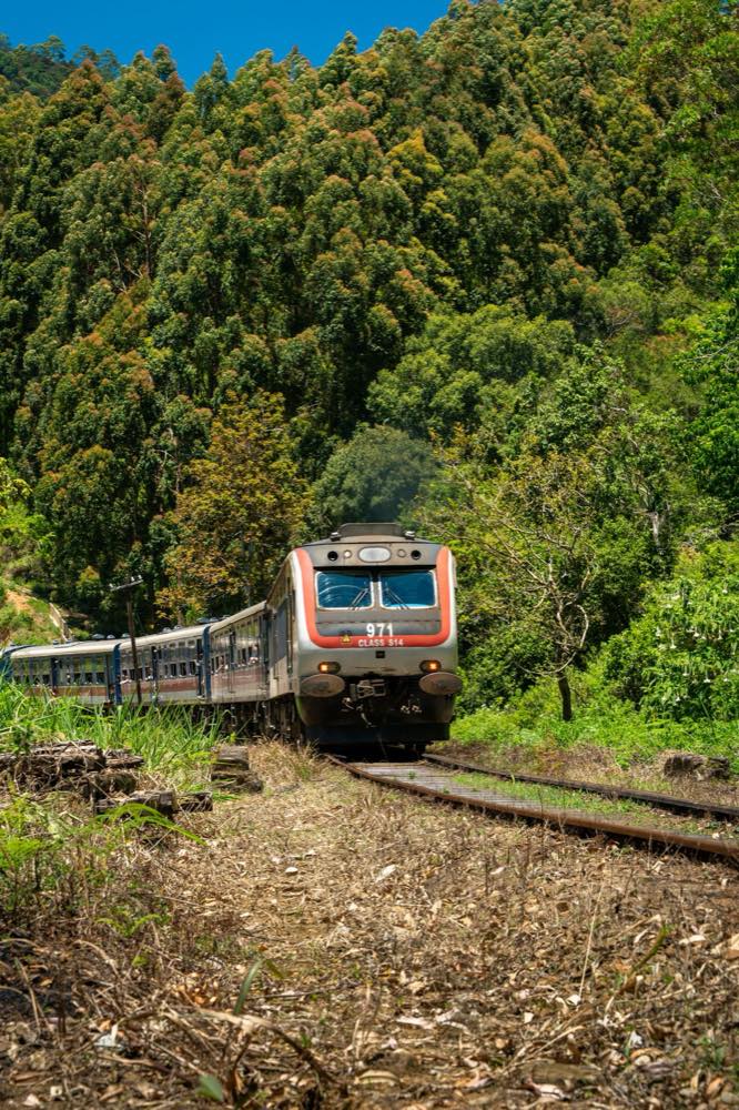 Train traversant la forêt dans les hautes terres du Sri Lanka