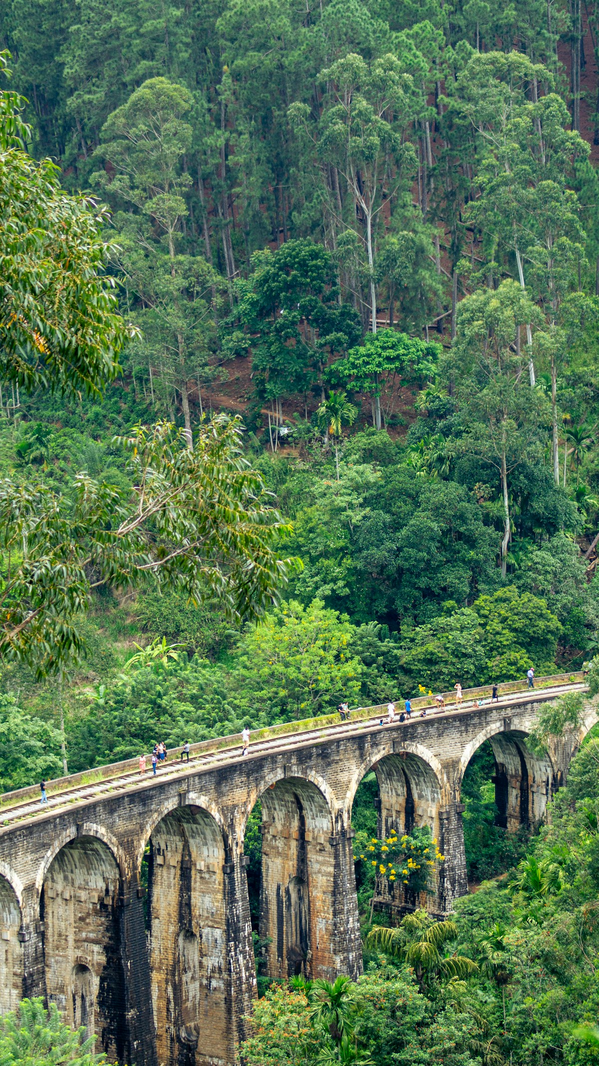 Nine Arches Bridge spanning lush green jungle, Ella, Sri Lanka — iconic 1-week itinerary stop