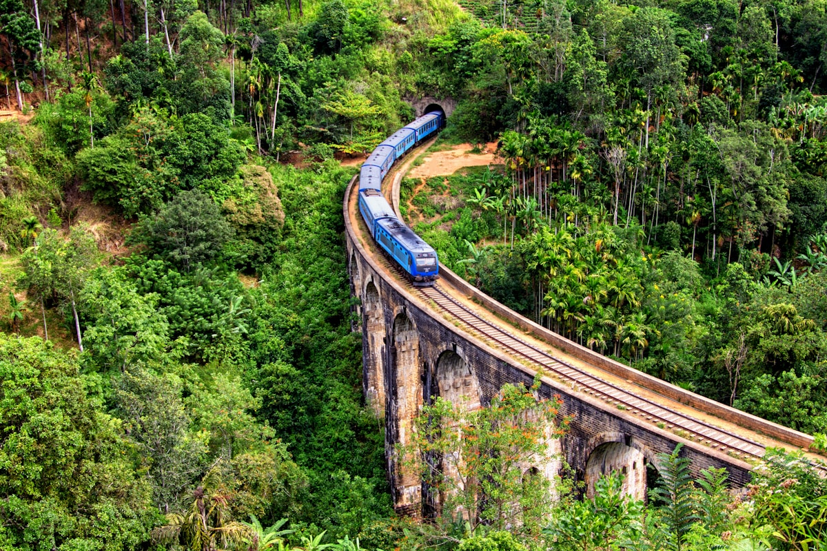Blue train crossing Nine Arches Bridge through jungle, Ella, Sri Lanka