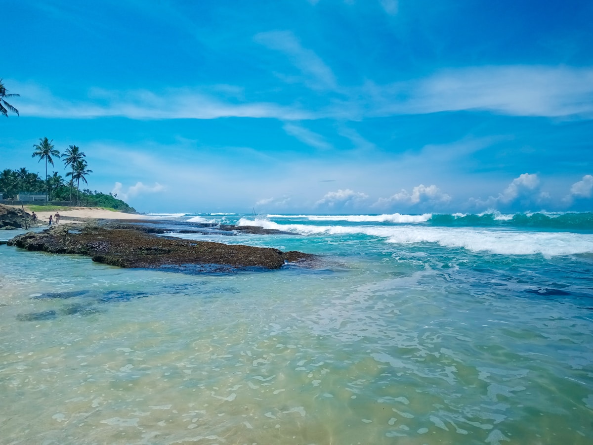 Rocky coastline with turquoise waves and palm trees in the background, southern Sri Lanka