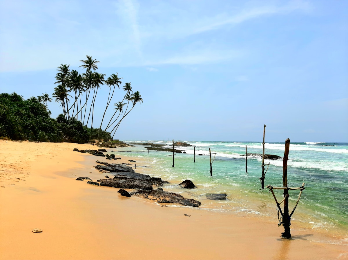 Sandy beach with stilt fishing poles in clear turquoise water and palm trees, southern Sri Lanka coast