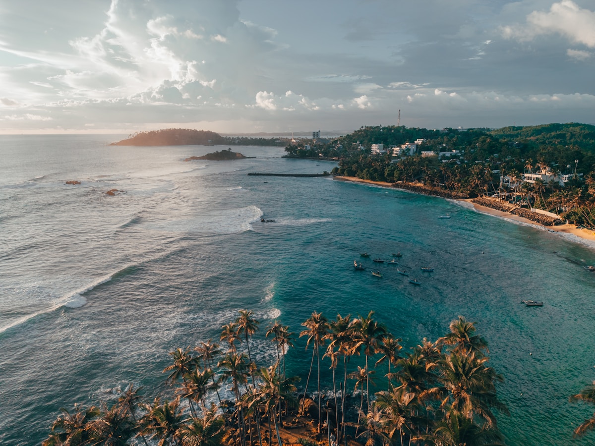 Aerial view of Mirissa beach with palm trees and the Indian Ocean, southern Sri Lanka