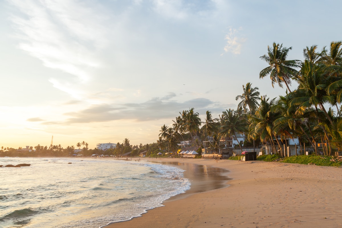Mirissa Beach at golden hour with palm trees and beach restaurants, Sri Lanka