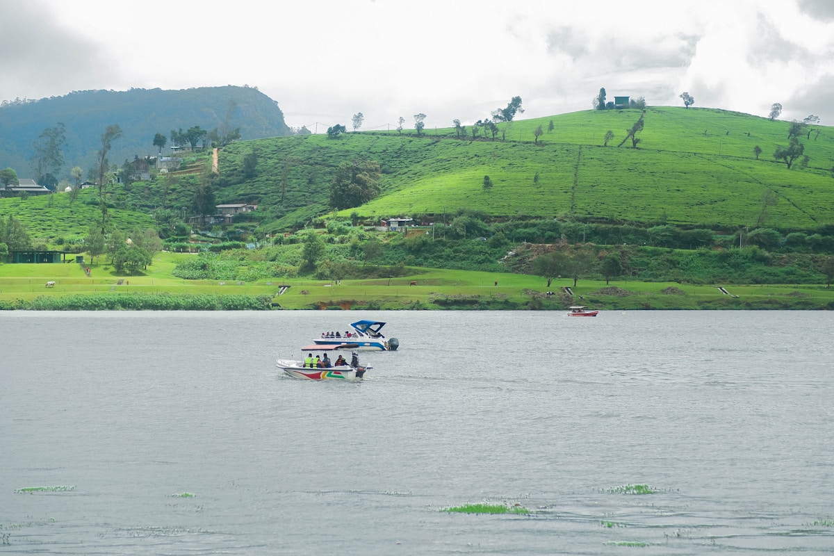 Boats on Gregory Lake with green tea hills in the background, Nuwara Eliya, Sri Lanka