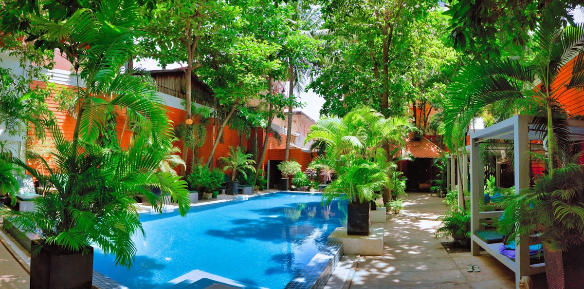 Swimming pool surrounded by lush green trees, Polonnaruwa area, Sri Lanka