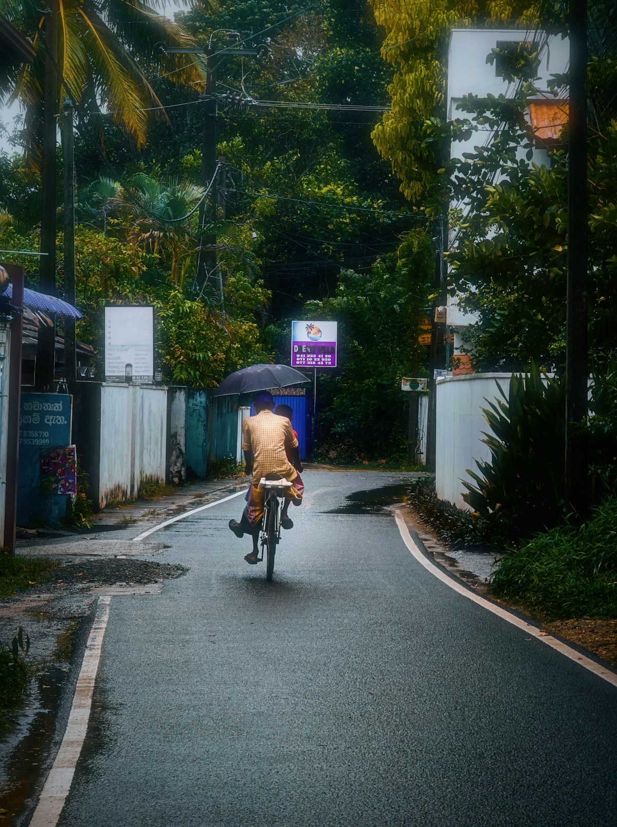 Man cycling under umbrella on a wet road in Hiriketiya during monsoon season, Sri Lanka