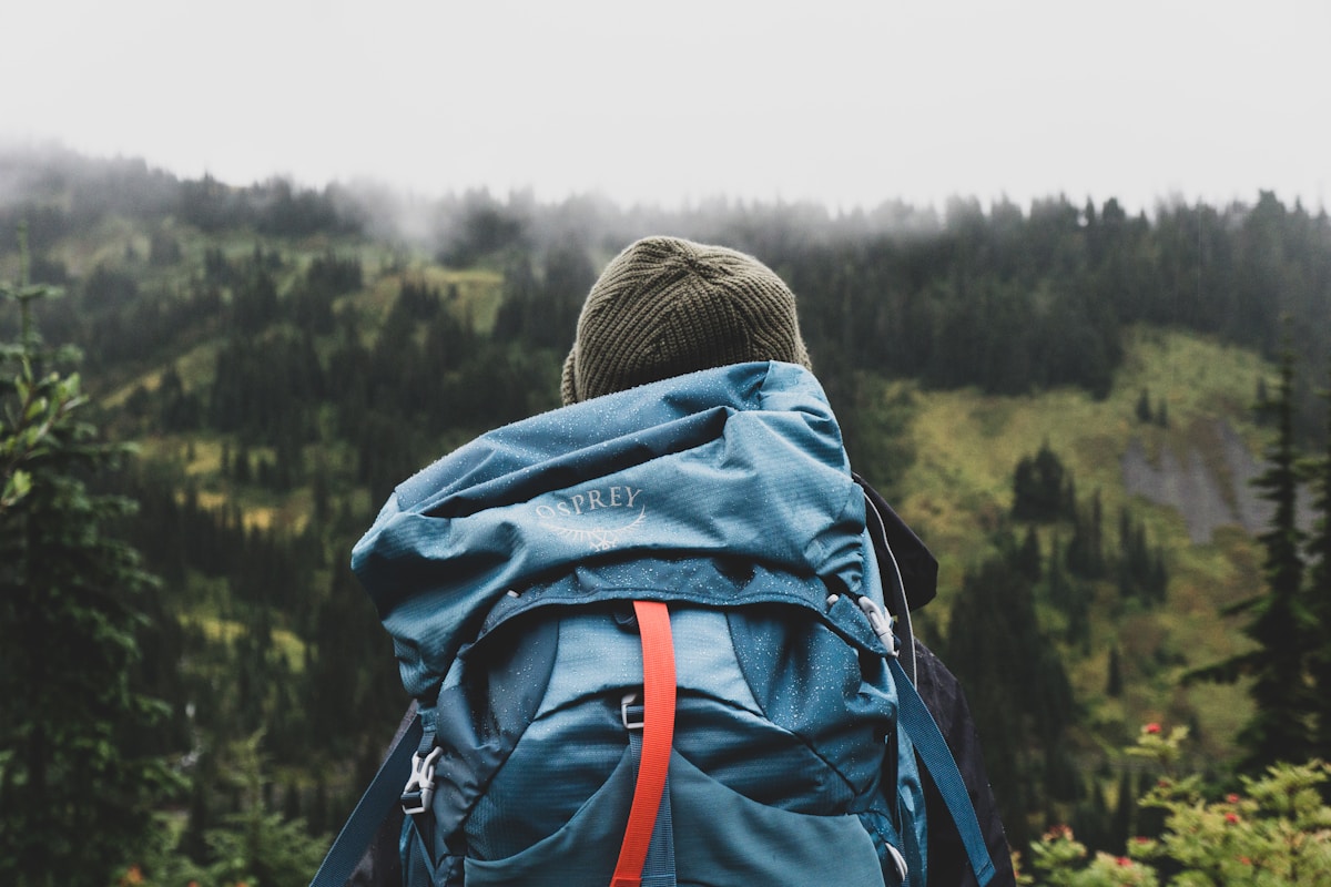 Hiker with backpack looking out over mountain forest — travel insurance for adventure trips to Sri Lanka