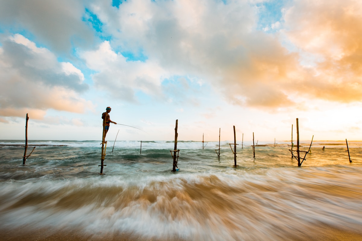 Stilt fisherman on wooden poles at sunset on the south coast of Sri Lanka near Hikkaduwa