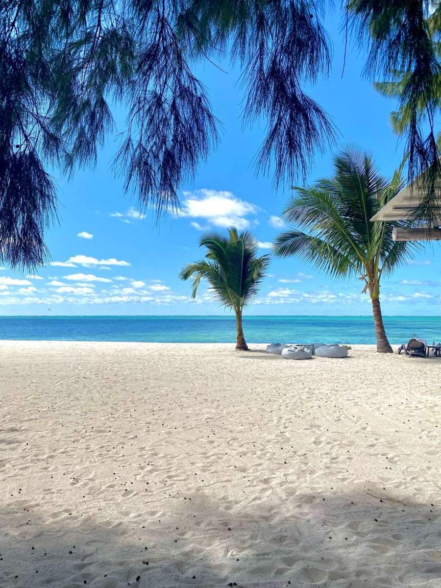 White sand beach with palm trees and turquoise lagoon water, Mauritius