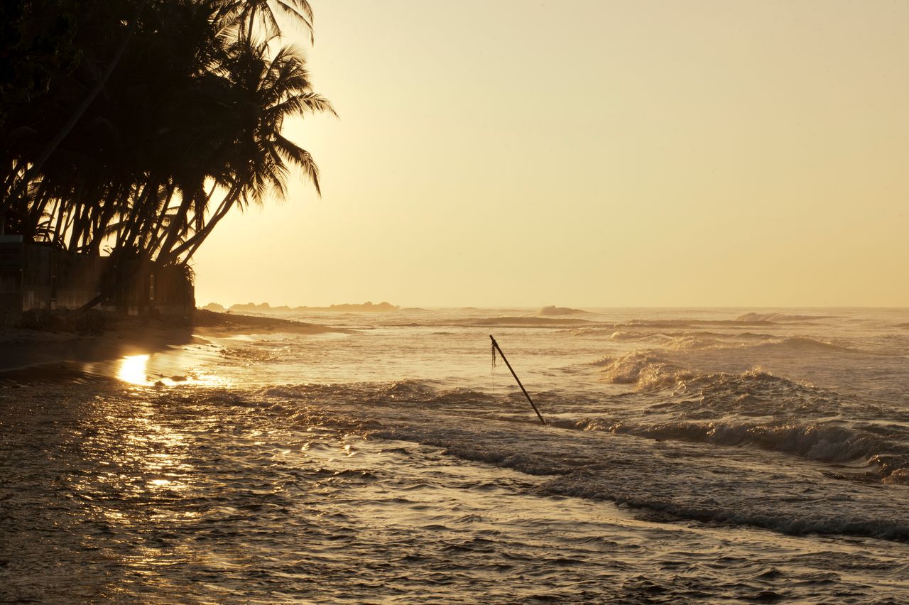 Golden light over breaking waves and palm trees on the Sri Lankan south coast