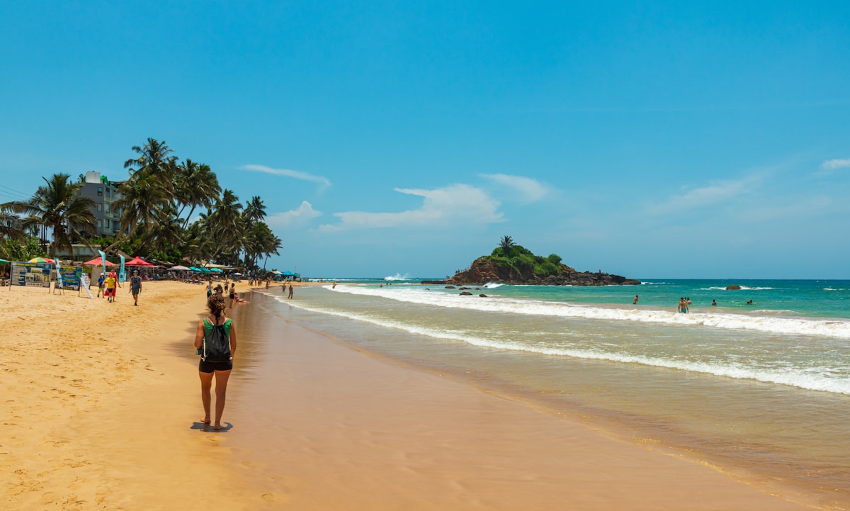 Sunny tropical beach with palm trees, Sri Lanka in August