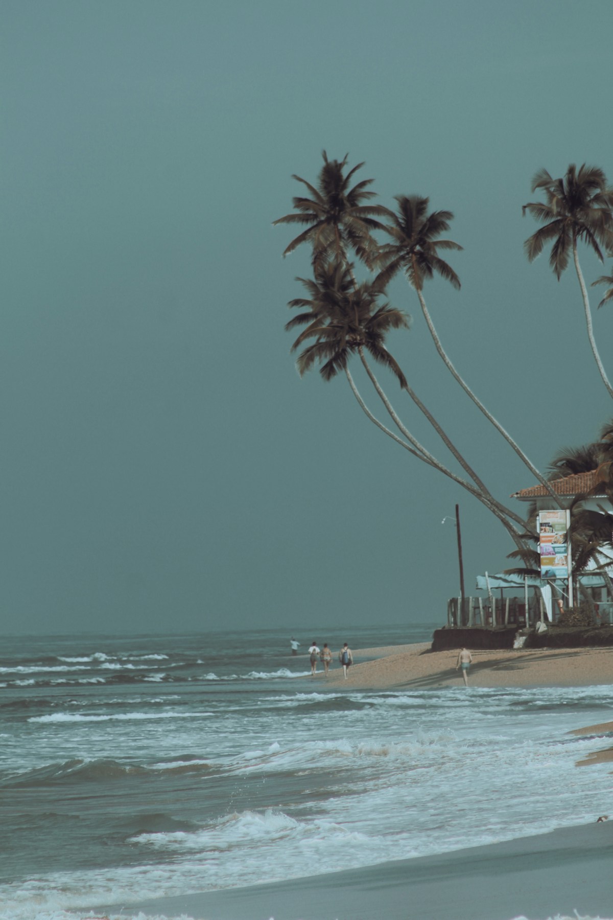 Tropical beach with palm trees and a wooden pier, Sri Lanka in December
