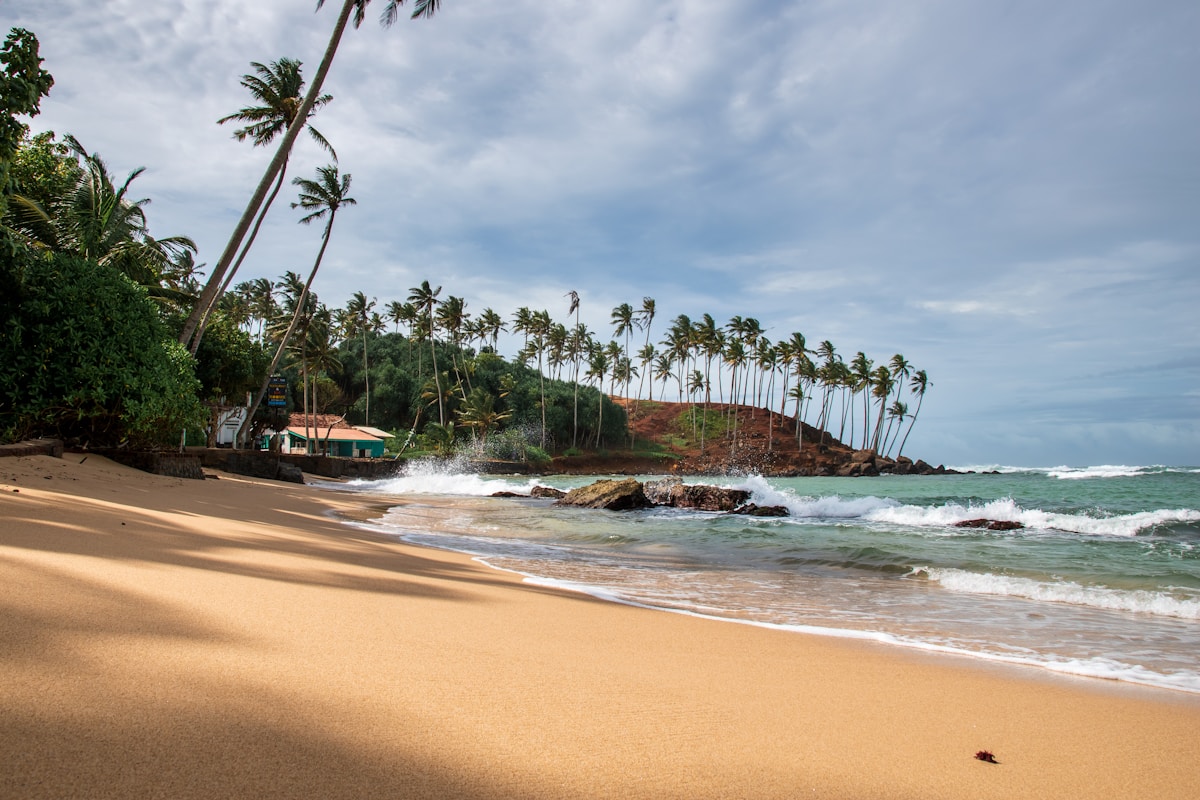Sandy beach with waves and palm trees, Sri Lanka in July