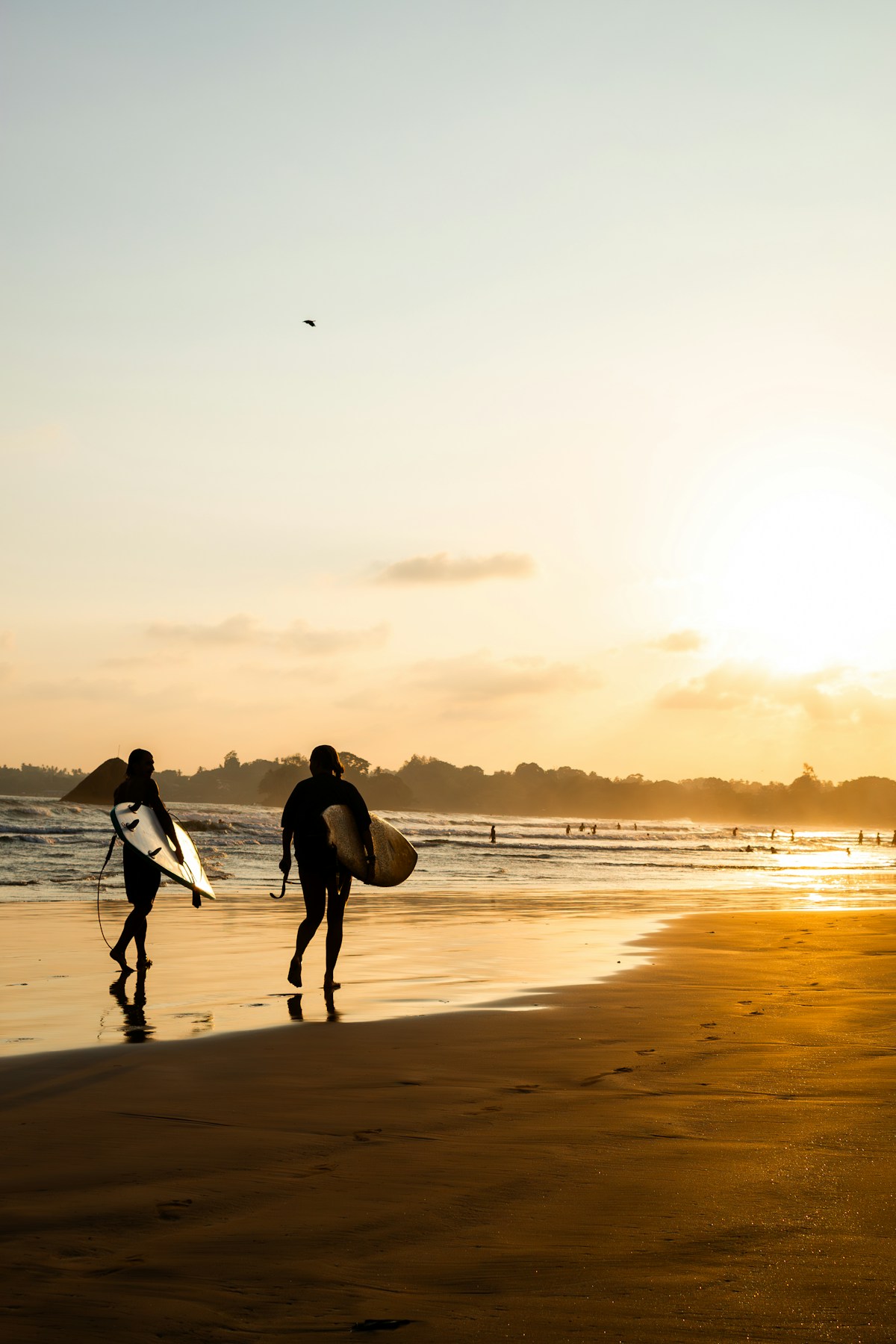 Surfers walking on beach at sunset, Unawatuna, Sri Lanka