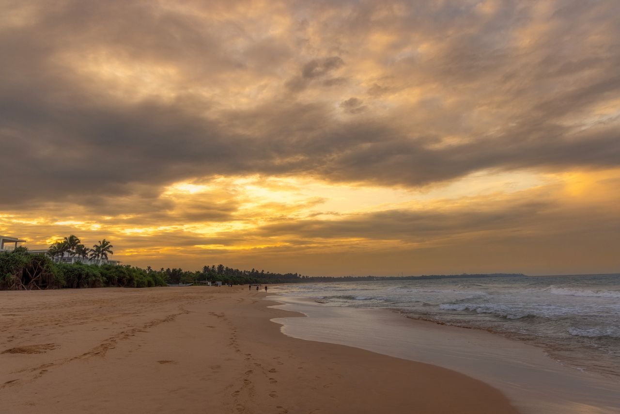 Golden sunrise over the Bentota coastline with palm trees and gentle surf