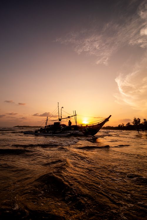 Weligama Bay at golden hour with surfers in the water and palm trees lining the shore